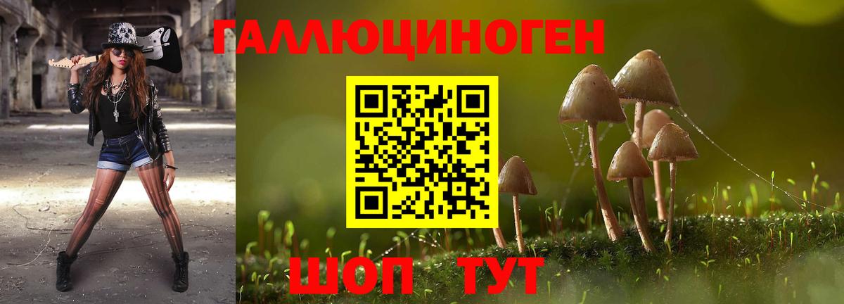Саратов  Галлюциногенные грибы мицелий  Вход с VPN  Галлюциногенные грибы прущие грибы 
